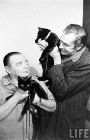 black-cat-auditions-hollywood-1961-16 2