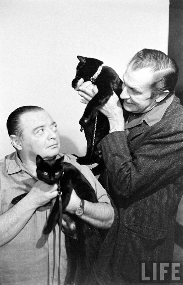 black-cat-auditions-hollywood-1961-16 2