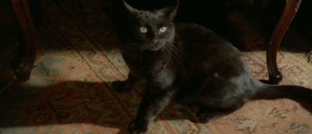 blackcatfulci06
