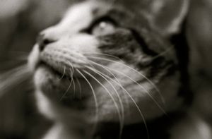 My beautiful picture