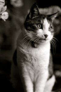 My beautiful picture