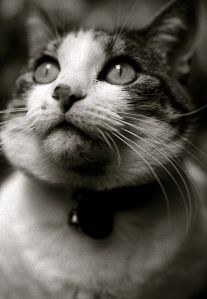 My beautiful picture