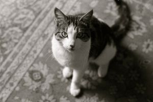 My beautiful picture